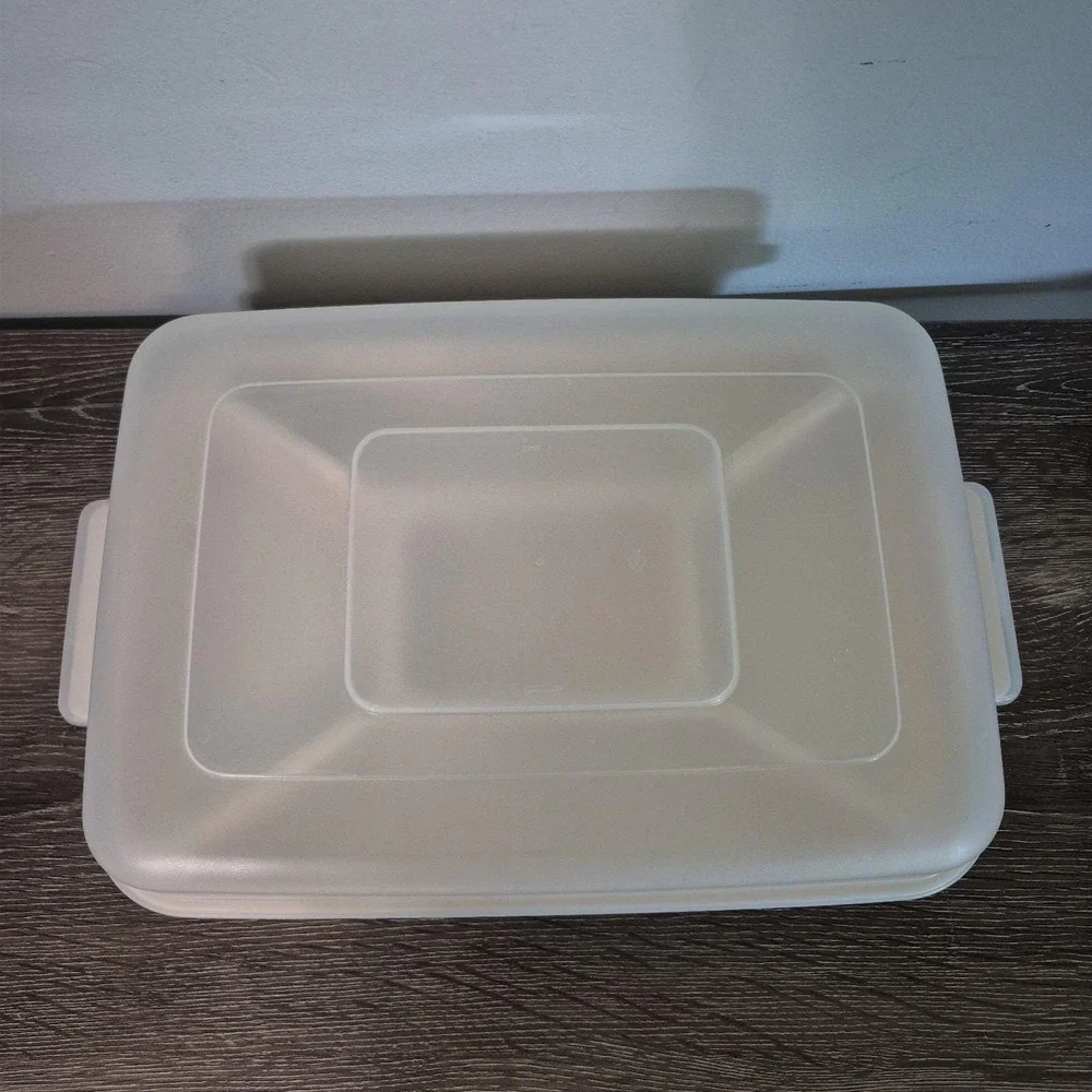Vintage Rubbermaid Servin Saver Divided Tray w Lid Food Storage